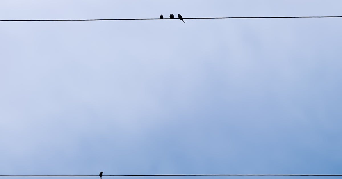 Common Mistakes in Home Rewiring and How to Avoid Them