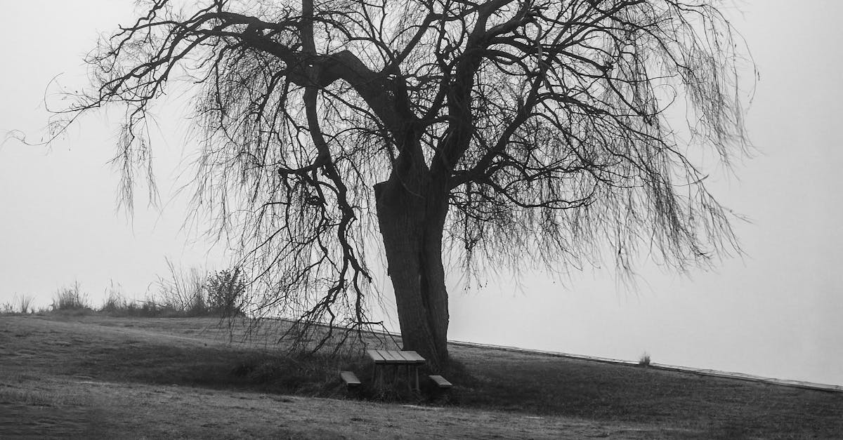 Essential Tools for Electricians Responding to Power Outages