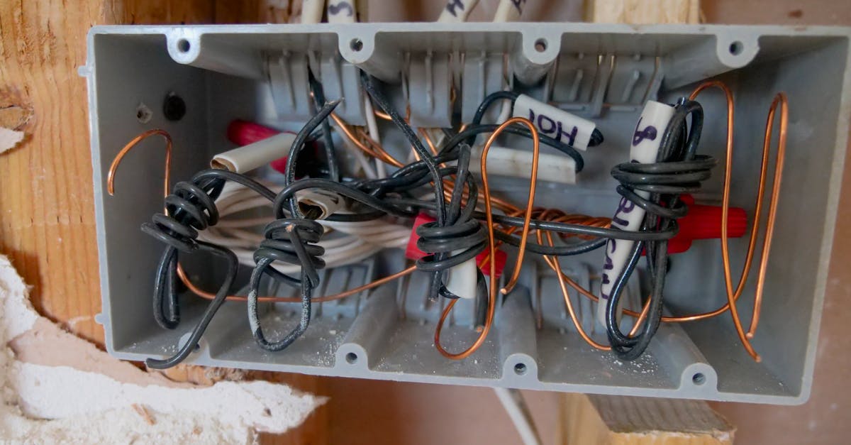 Importance of Regular Electrical Safety Audits for Businesses