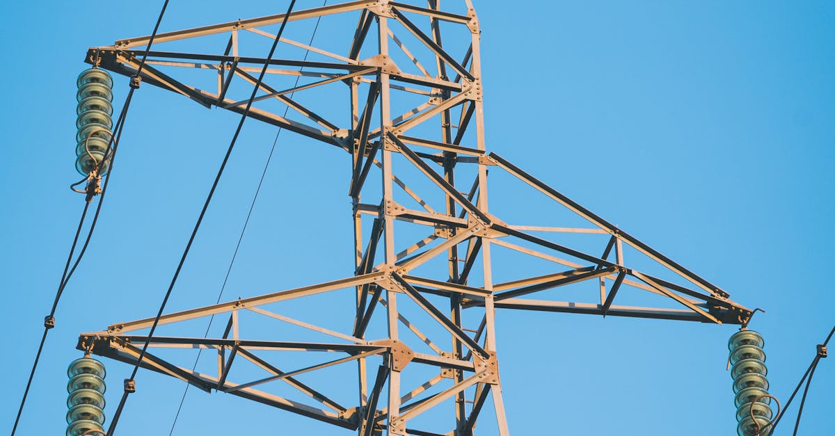 The Role of Data Cabling in Future-Proofing Your Business