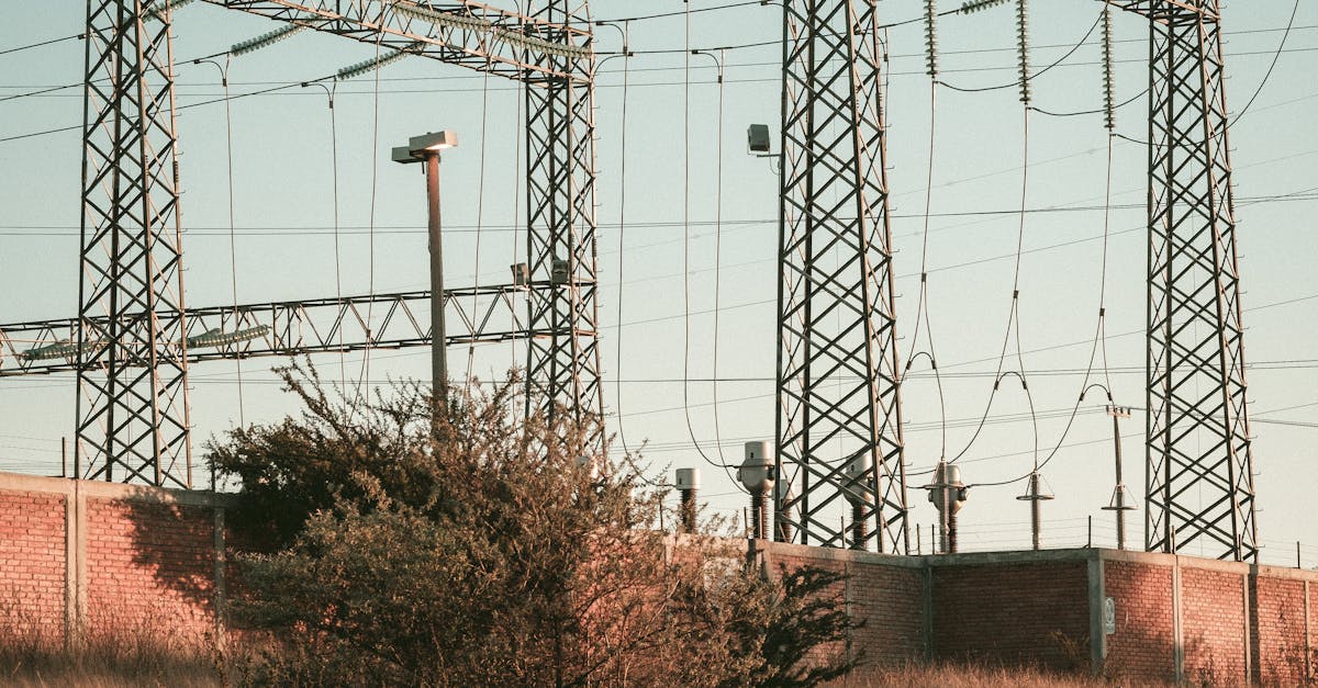 The Role of Insulation in Energy Efficiency for Office Buildings