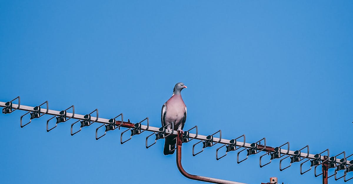 Upgrading HVAC Systems for Improved Energy Performance